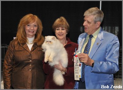 Miracle Paws  Isabella